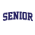Embroidered Senior Arch